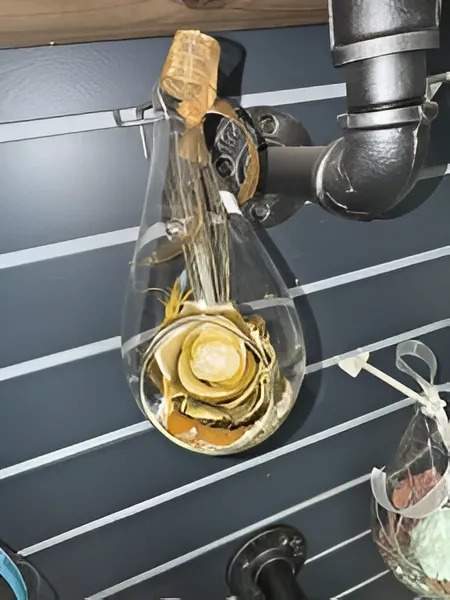 Roses éternelles en fleurs Gatineau