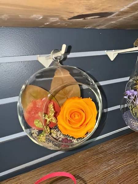 Roses préservées Gatineau