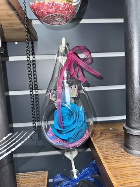 Roses éternelles Gatineau