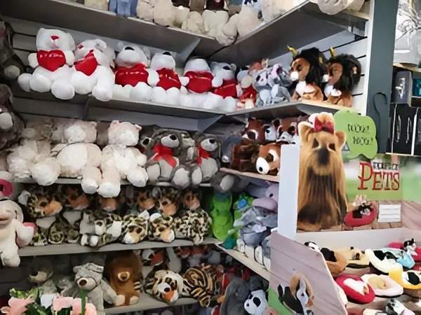 Peluches Gatineau