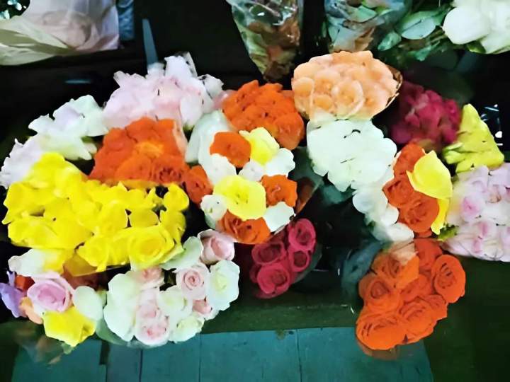 Bouquet de fleurs Gatineau